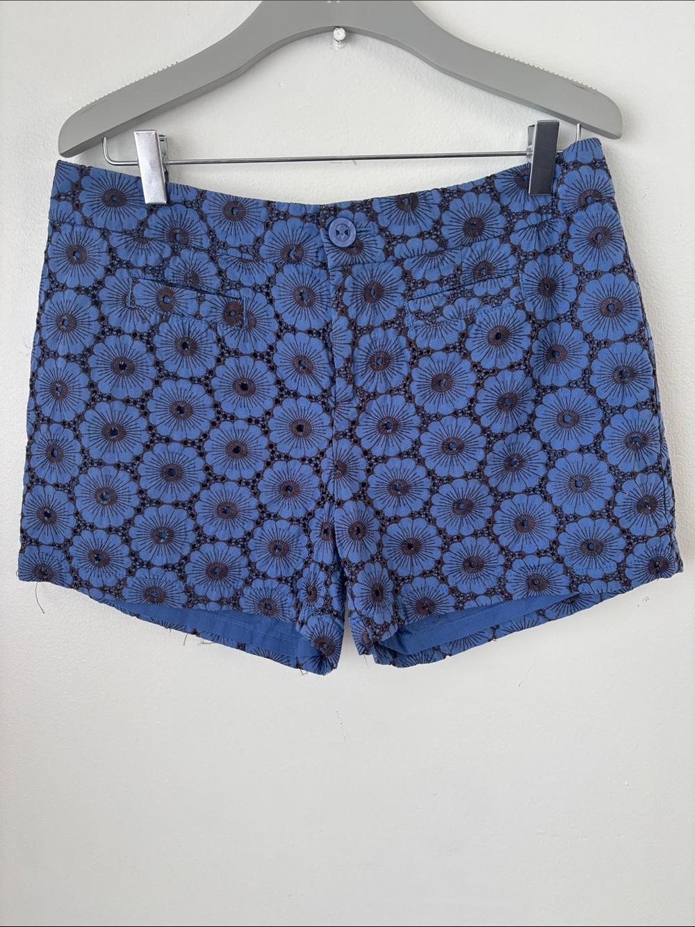 elevenses by Anthropology Blue Floral Shorts